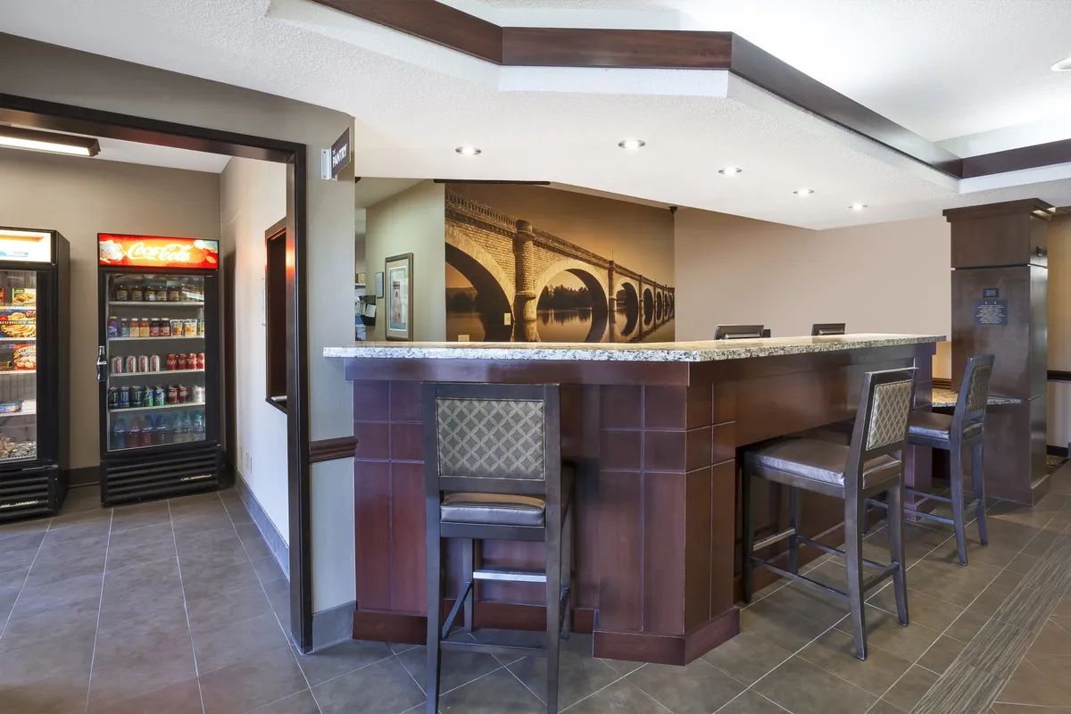 This image features an inviting bar counter with high-backed chairs, a refrigerated drink display, and decorative wall art. The scene captures guests socializing, enjoying drinks or snacks, and gathering for casual meetings in a communal setting.